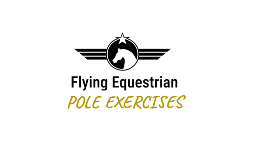 Three horse exercises with one setup and 2 poles