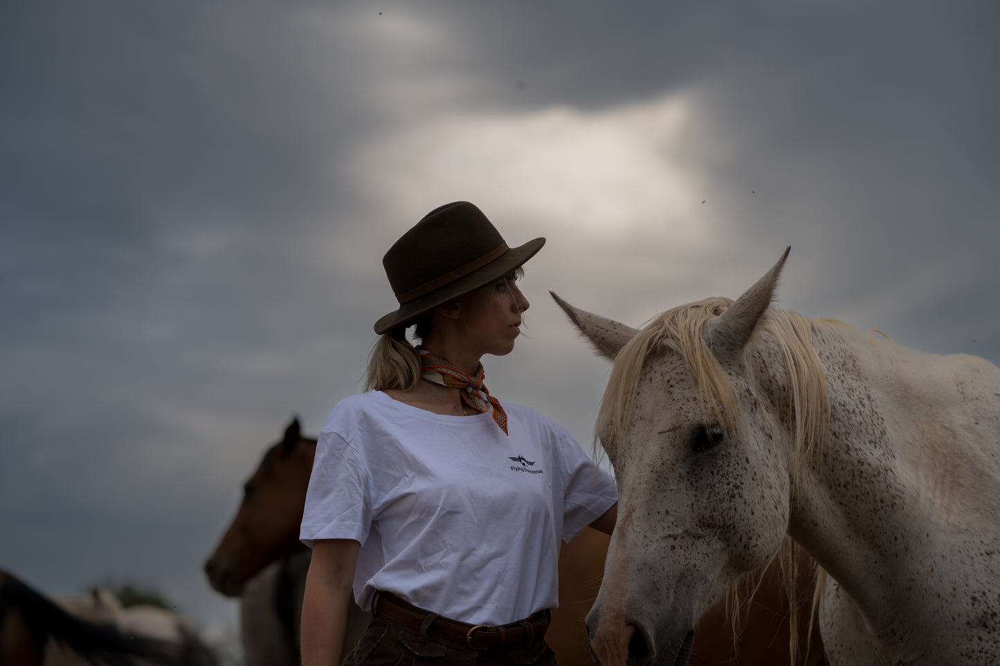 Hold the reins Tshirt