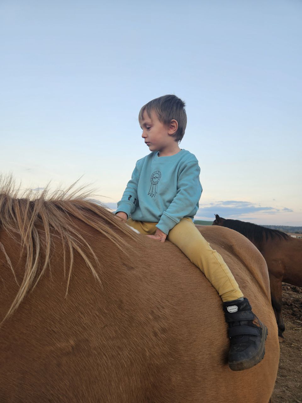 Winner Children’s Warm Sweatshirt